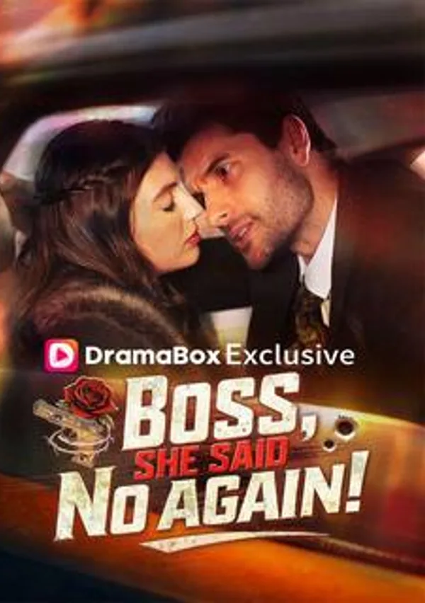 Boss, She Said No Again! poster