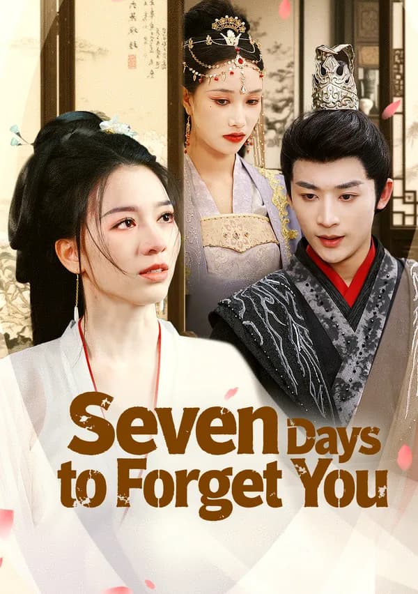 Seven Days to Forget You poster