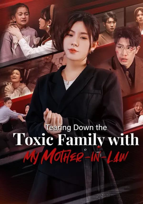 Tearing Down the Toxic Family with My Mother-in-Law poster