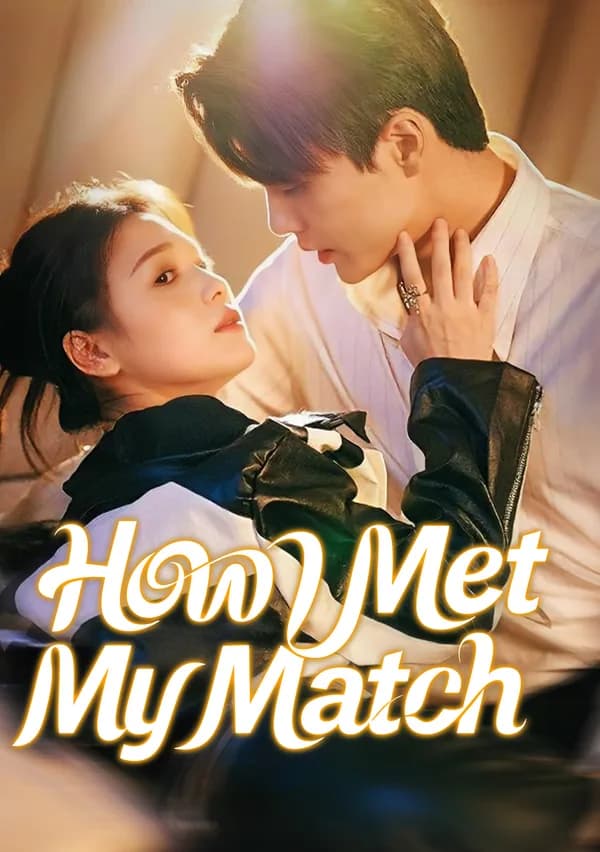 How I Met My Match poster