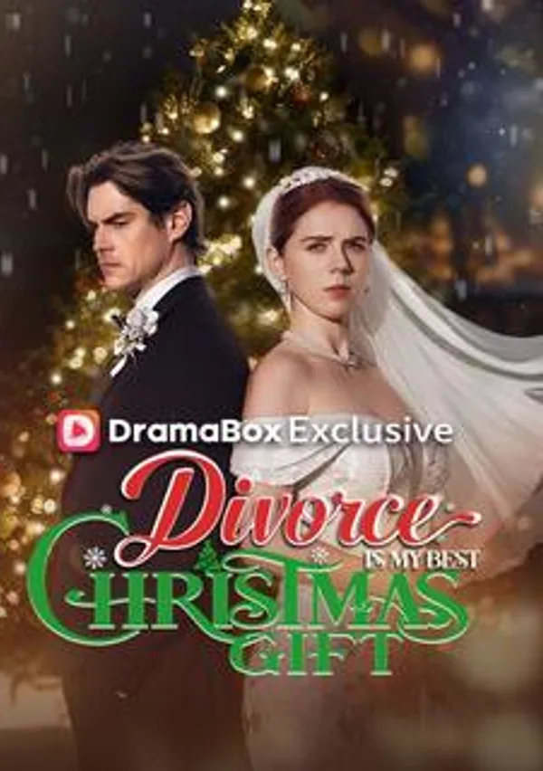 Divorce Is My Best Christmas Gift poster