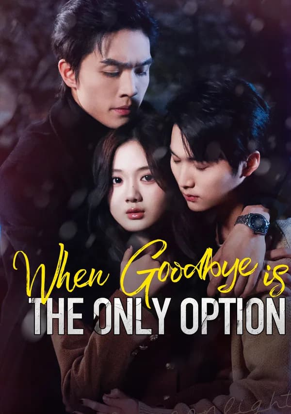 When Goodbye is the Only Option poster