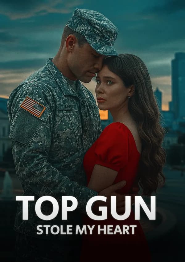 Top Gun Stole My Heart poster