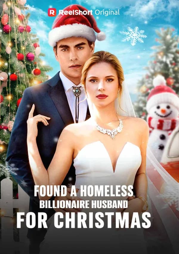 Found A Homeless Billionaire Husband for Christmas poster