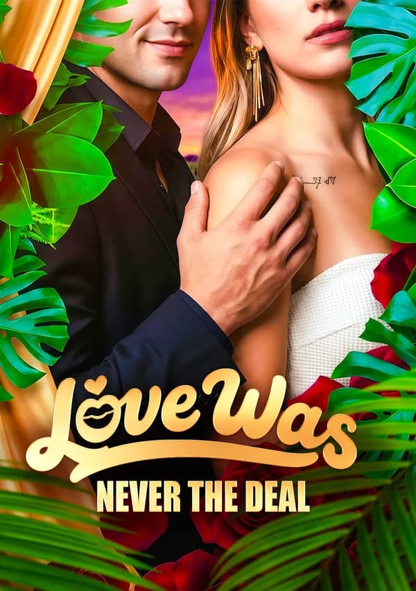 Love Was Never the Deal poster