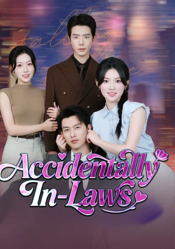 Accidentally In-Laws poster