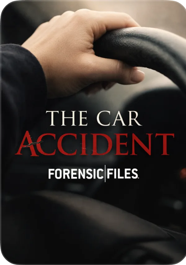 The Car Accident poster