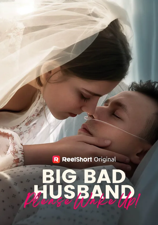 Big Bad Husband, Please Wake Up! poster