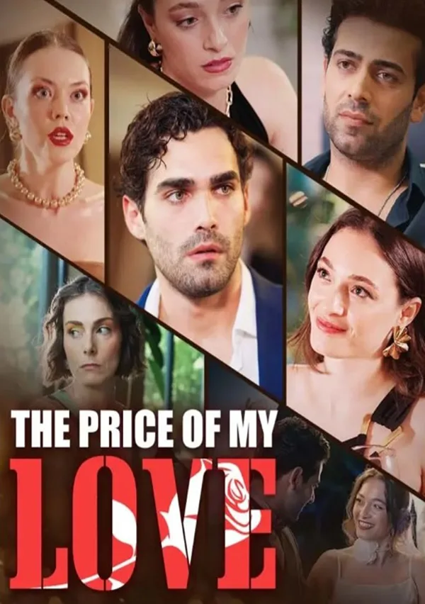 The Price of My Love poster