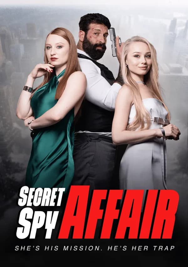 The Secret Spy Affair poster