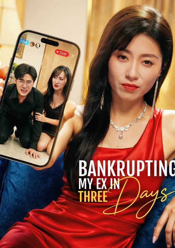 Bankrupting My Ex in Three Days poster