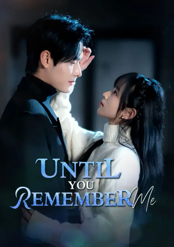 Until You Remember Me poster