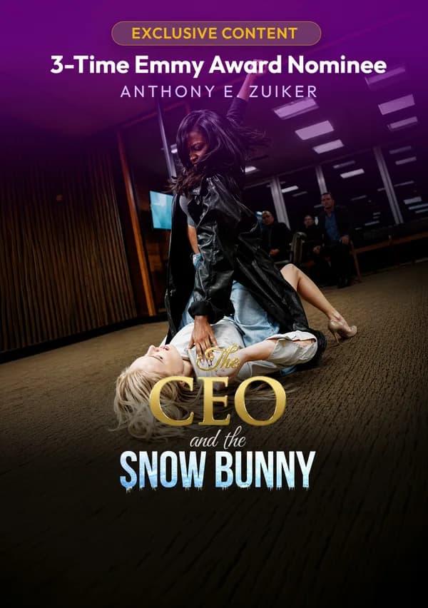 The CEO And The Snow Bunny poster