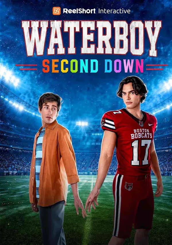 Waterboy: Second Down poster
