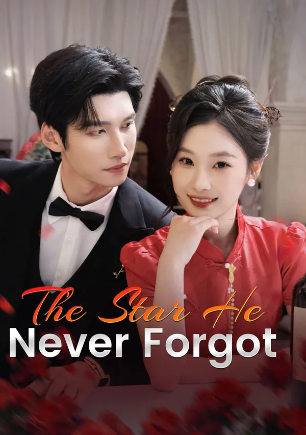 The Star He Never Forgot poster