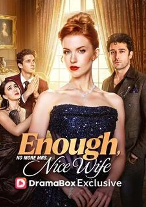 Enough! No More Mrs.Nice Wife poster