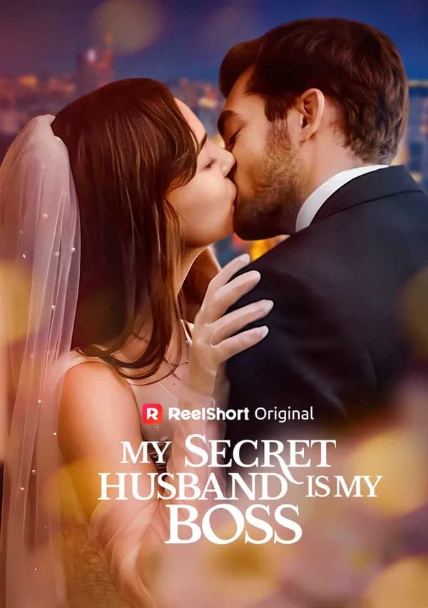 My Secret Husband is My Boss poster