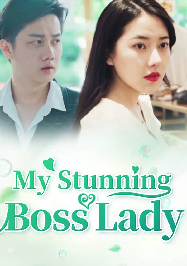 My Stunning Boss Lady poster