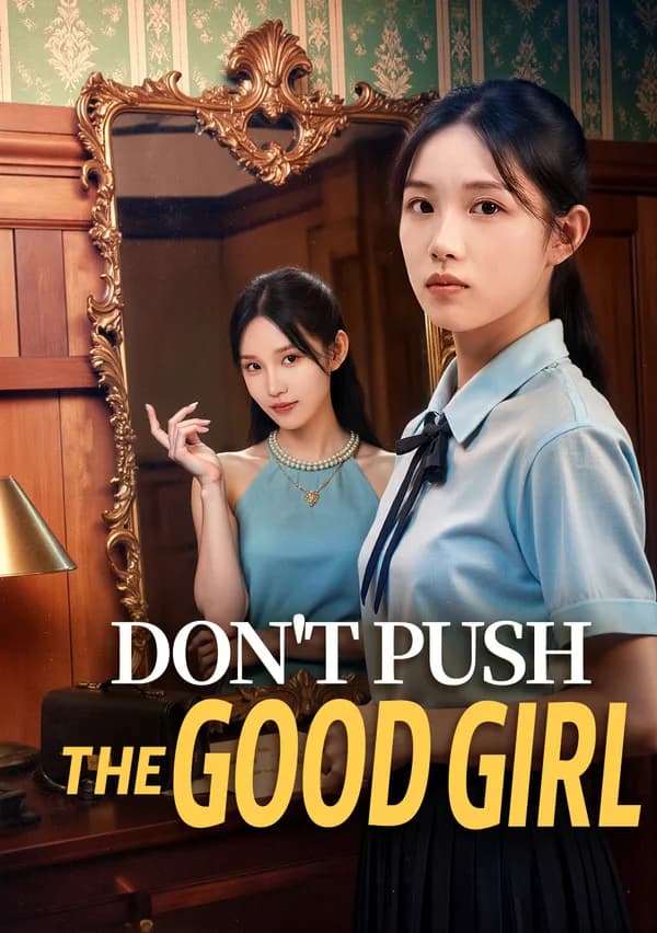 Don't Push the Good Girl poster