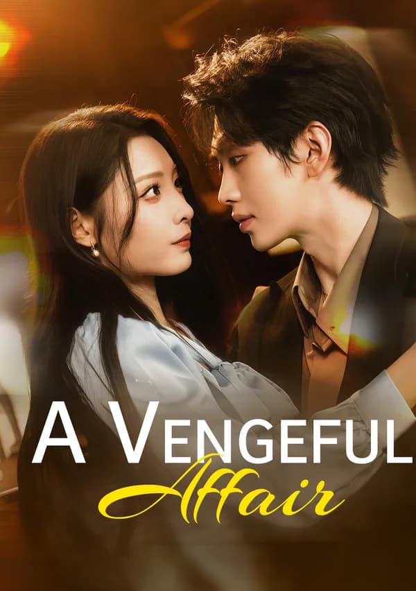 A Vengeful Affair poster