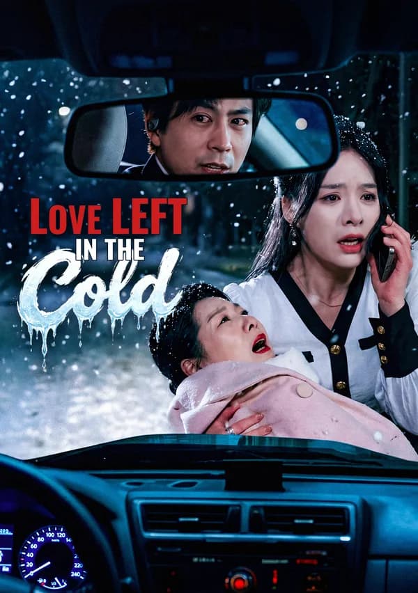 Love Left in the Cold poster