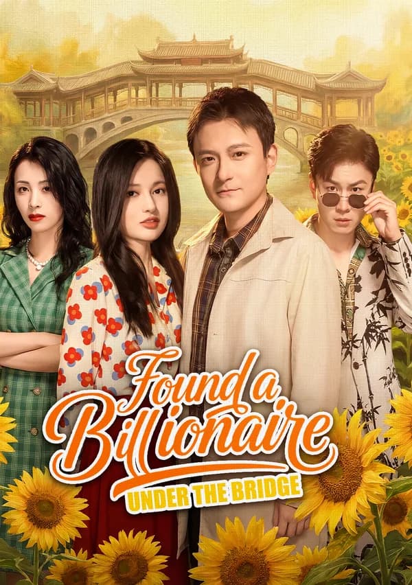 Found a Billionaire Under the Bridge poster