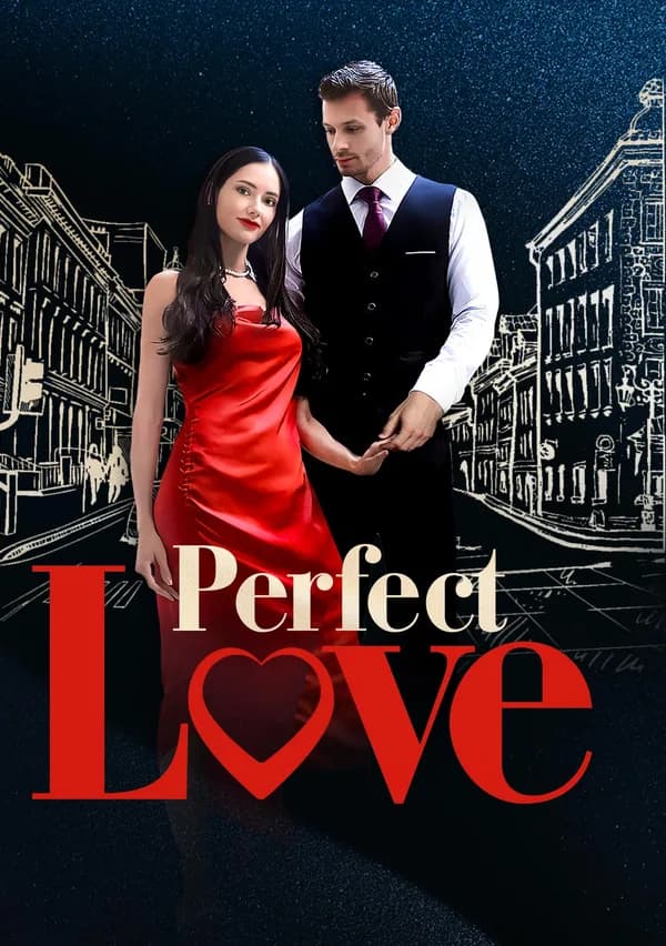 Perfect Love poster