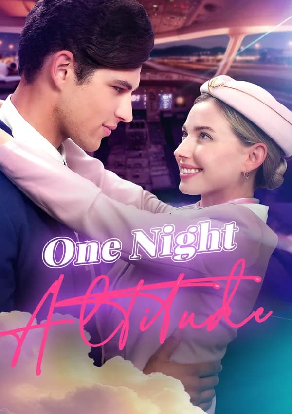 One Night Altitude poster