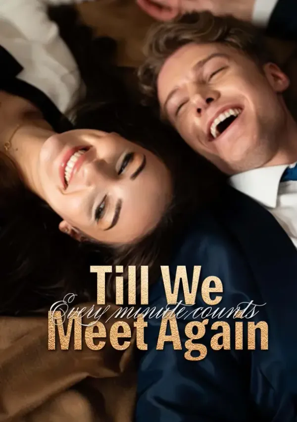 Till We Meet Again poster
