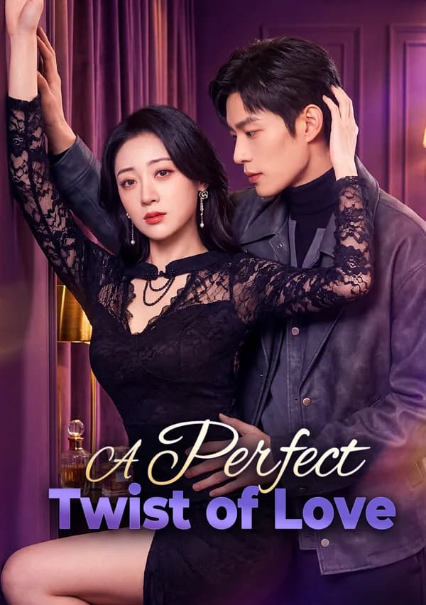 A Perfect Twist of Love poster