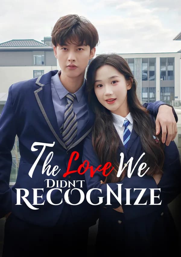 The Love We Didn't Recognize poster