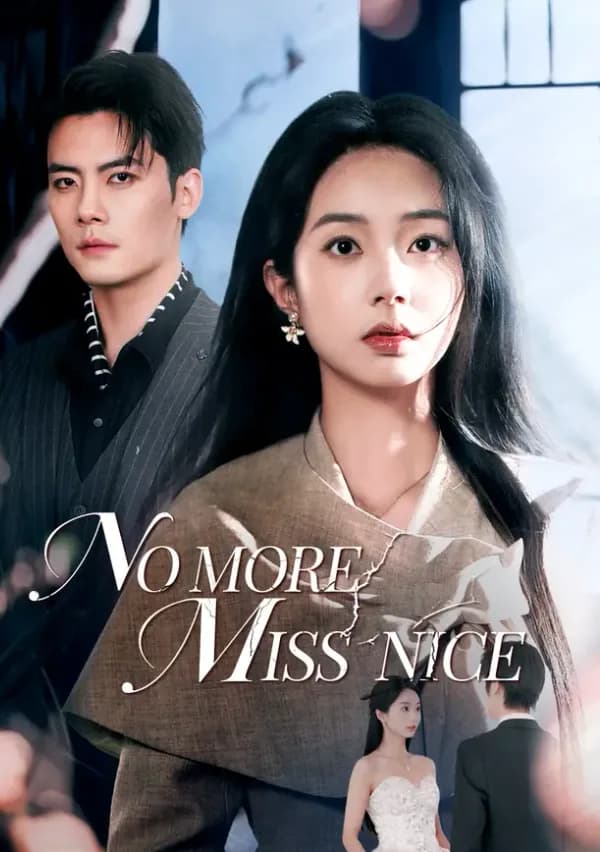 No More Miss Nice poster