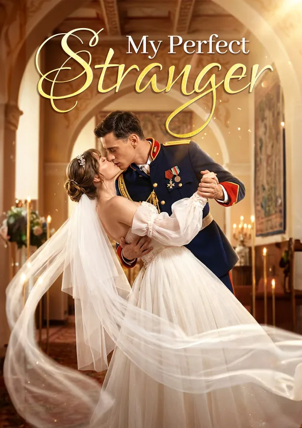 My Perfect Stranger poster