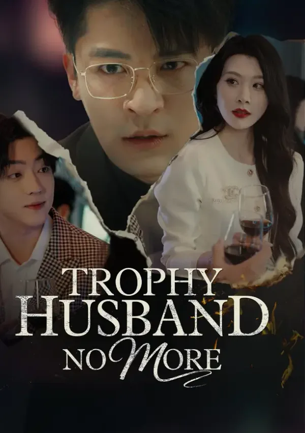 Trophy Husband No More poster