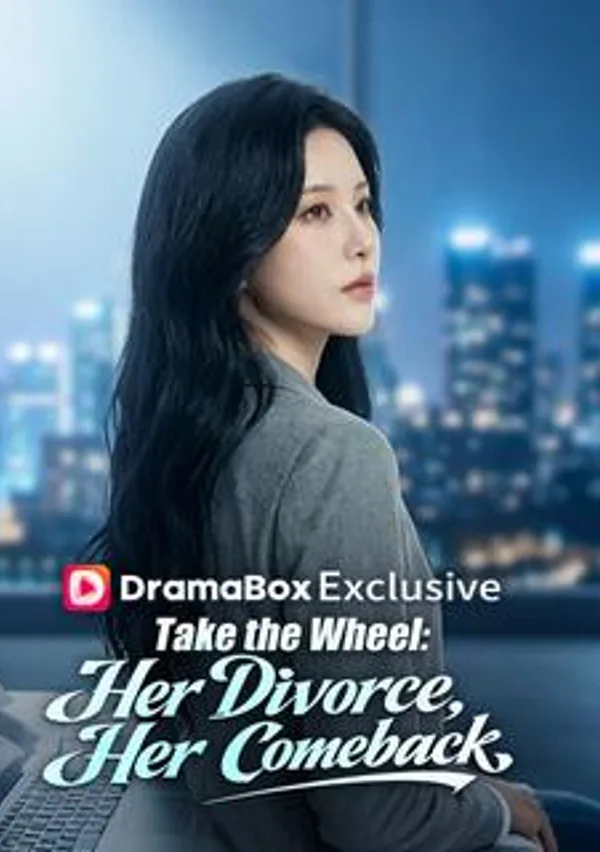 Take the Wheel: Her Divorce, Her Comeback(DUBBED) poster
