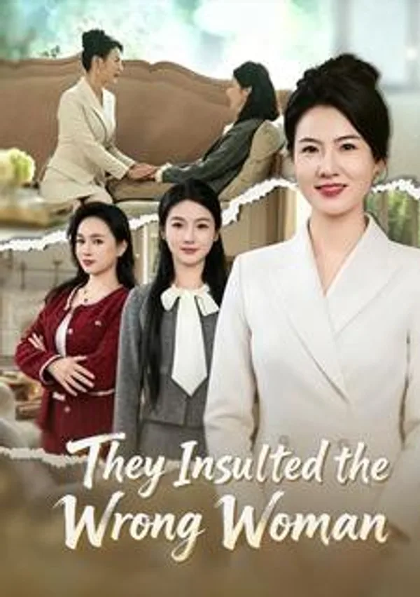 They Insulted the Wrong Woman poster