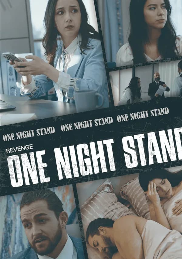 One Night Stand poster