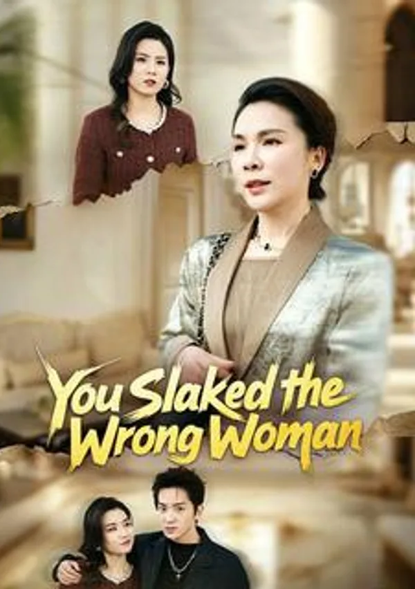 You Slapped the Wrong Woman poster