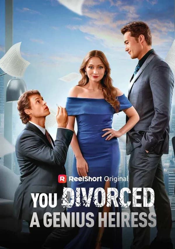You Divorced a Genius Heiress poster