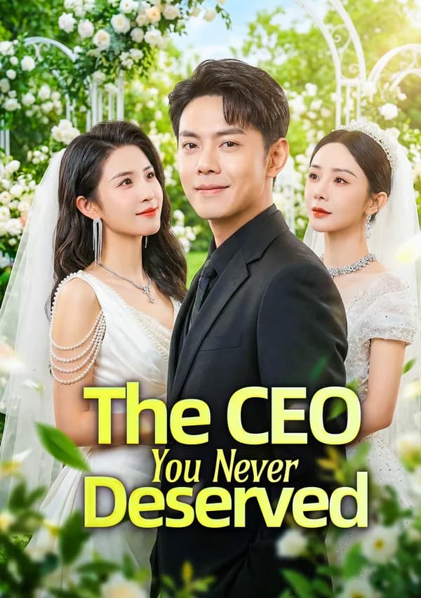 The CEO You Never Deserved poster