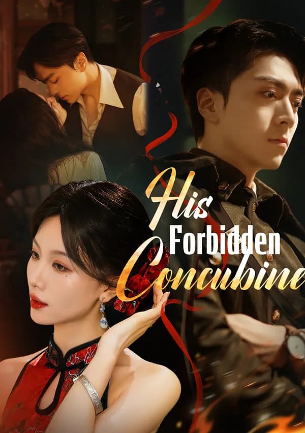His Forbidden Concubine poster
