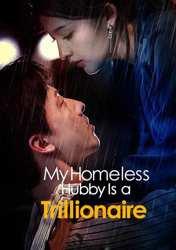 My Homeless Hubby Is a Trillionaire poster