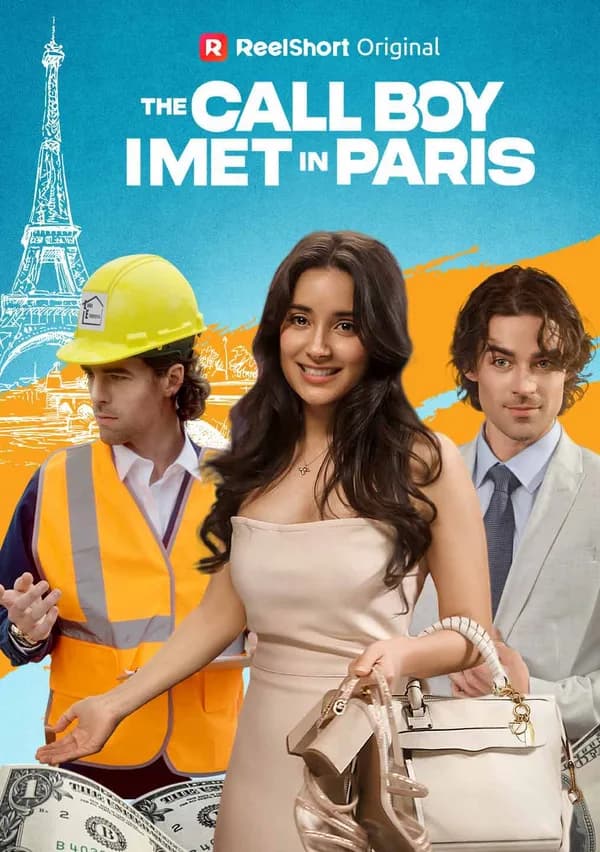 The Call Boy I Met in Paris poster