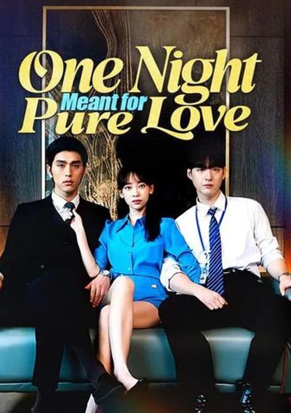 One Night Meant for Pure Love poster